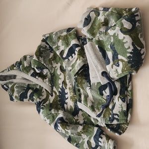 Boys' Dinosaur Jogger Set